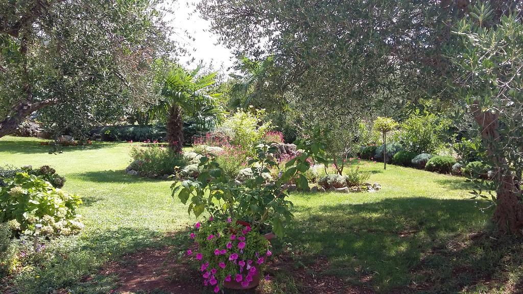Apartment Oaza Mira Tribalj Εξωτερικό φωτογραφία